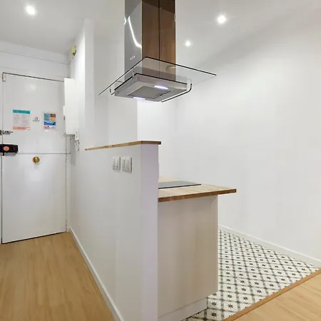 Stylish Typical Bcn Flat