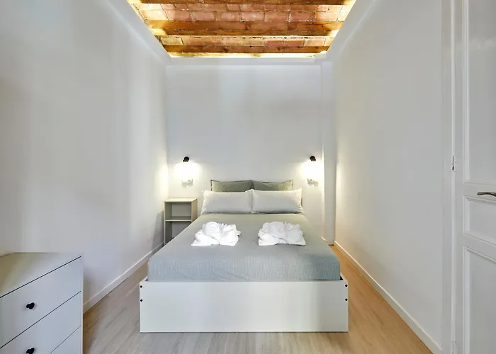 Stylish Typical Bcn Flat