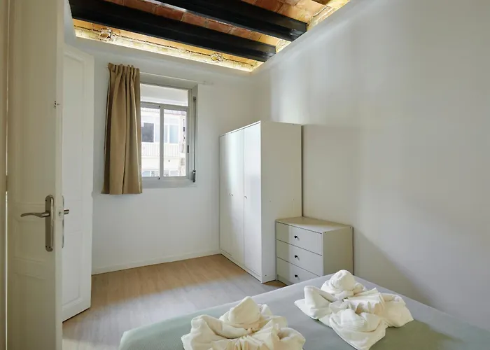 Stylish Typical Bcn Flat